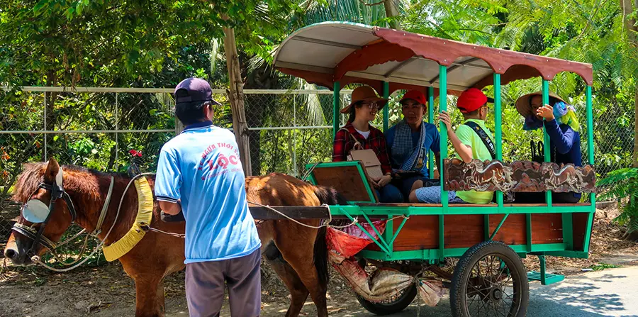 Tận hưởng 1 ng&agrave;y du lịch sinh th&aacute;i Bến Tre kh&aacute;m ph&aacute; thi&ecirc;n nhi&ecirc;n tr&ugrave; ph&uacute; 5