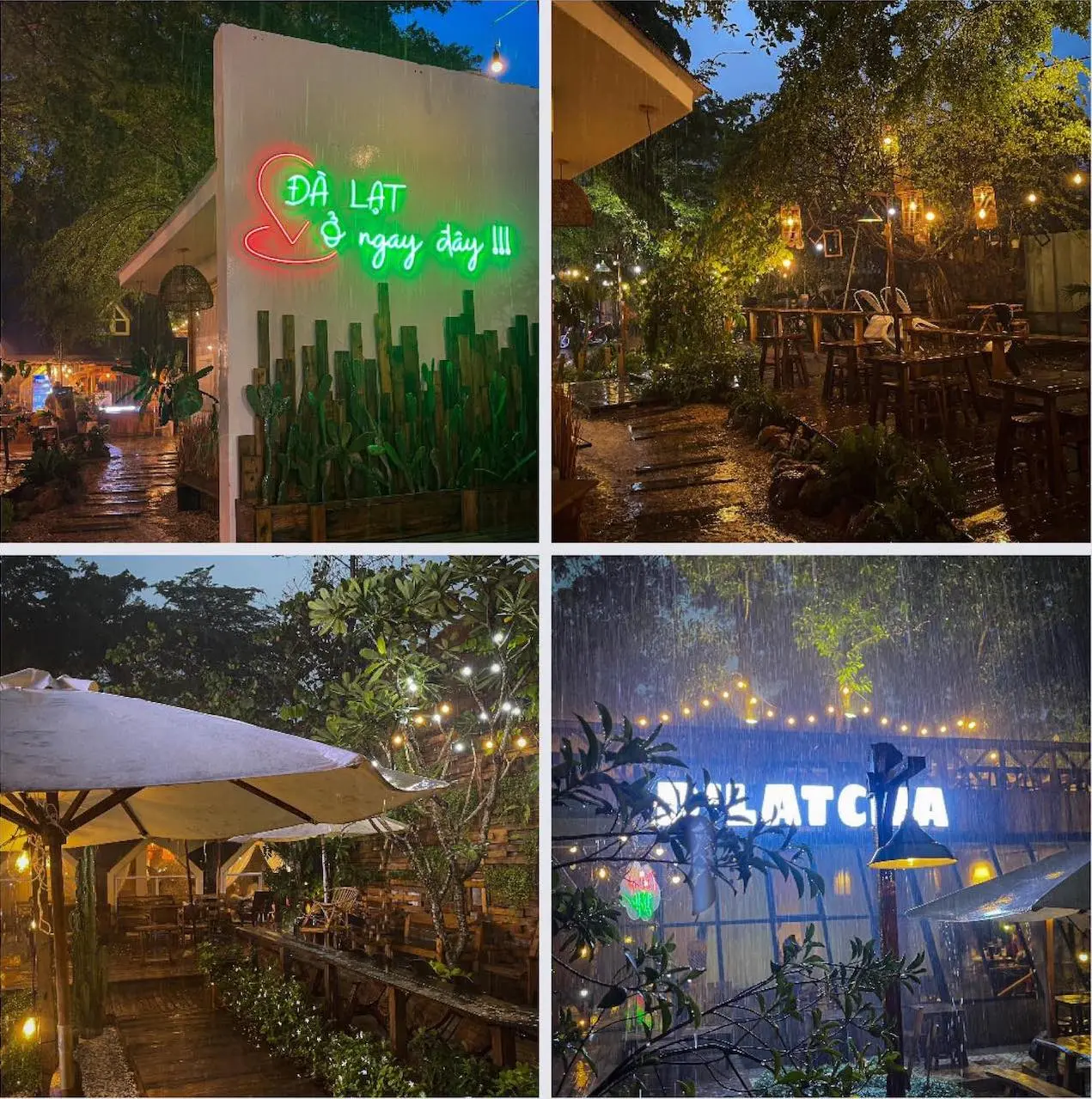 Đến ngay D'LatCha Tea Bistro đậm chất của một Đ&agrave; Lạt thu nhỏ 12