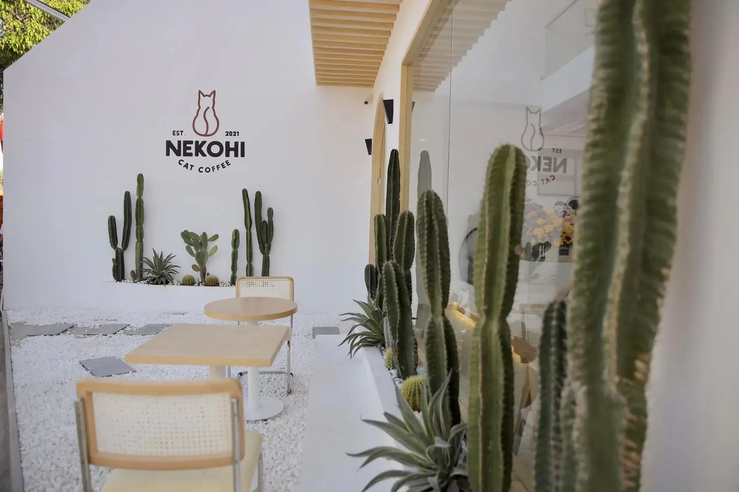 Nekohi Cat Coffee, cửa h&agrave;ng c&agrave; ph&ecirc; d&agrave;nh cho c&aacute;c bạn y&ecirc;u th&uacute; cưng 4