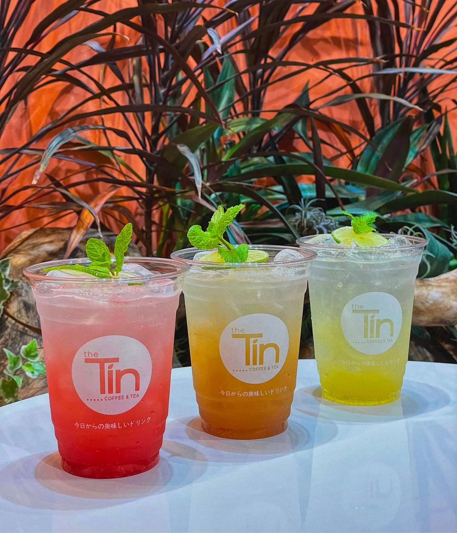 Sống ảo tại The T&iacute;n Coffee Tea, qu&aacute;n c&agrave; ph&ecirc; B&igrave;nh Dương view đẹp nức tiếng 3