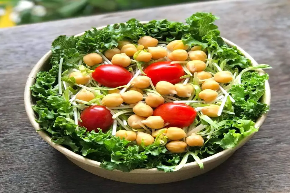 Thị Trấn Tốt thi&ecirc;n đường d&agrave;nh cho c&aacute;c t&iacute;n đồ ăn ki&ecirc;ng 2