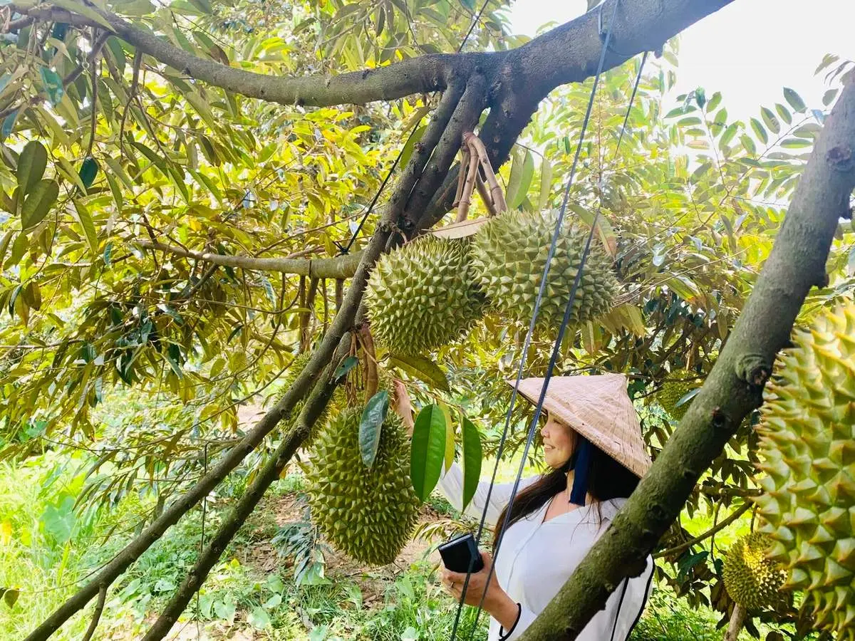 Top 10 nh&agrave; xe H&agrave; Nội đi B&igrave;nh Dương uy t&iacute;n nhất hiện nay 2
