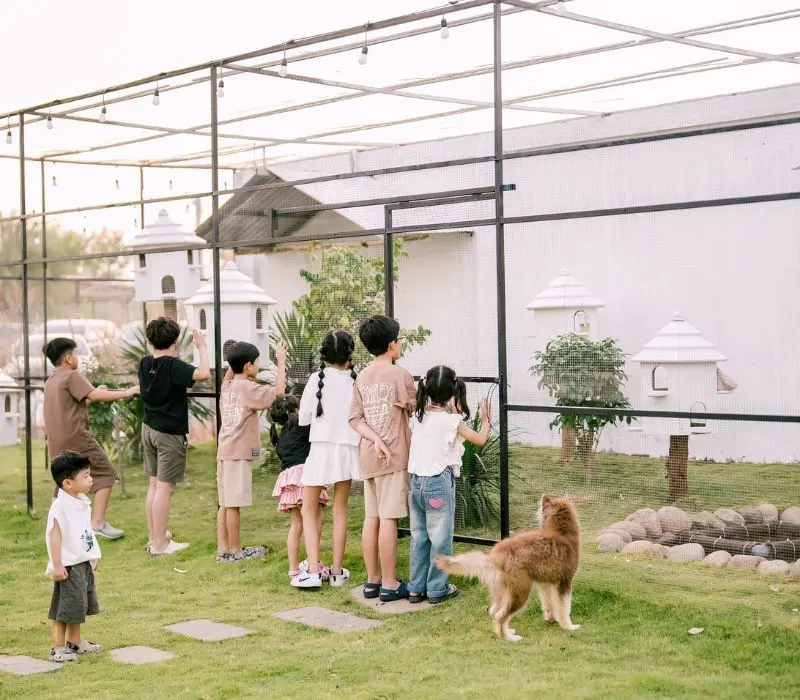 A New Day Glamping T&acirc;n Uy&ecirc;n, thư gi&atilde;n tuyệt đối giữa thi&ecirc;n nhi&ecirc;n 10