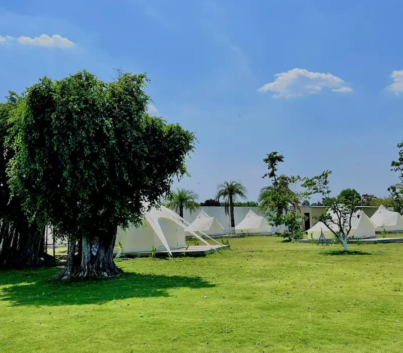 A New Day Glamping T&acirc;n Uy&ecirc;n, thư gi&atilde;n tuyệt đối giữa thi&ecirc;n nhi&ecirc;n 3