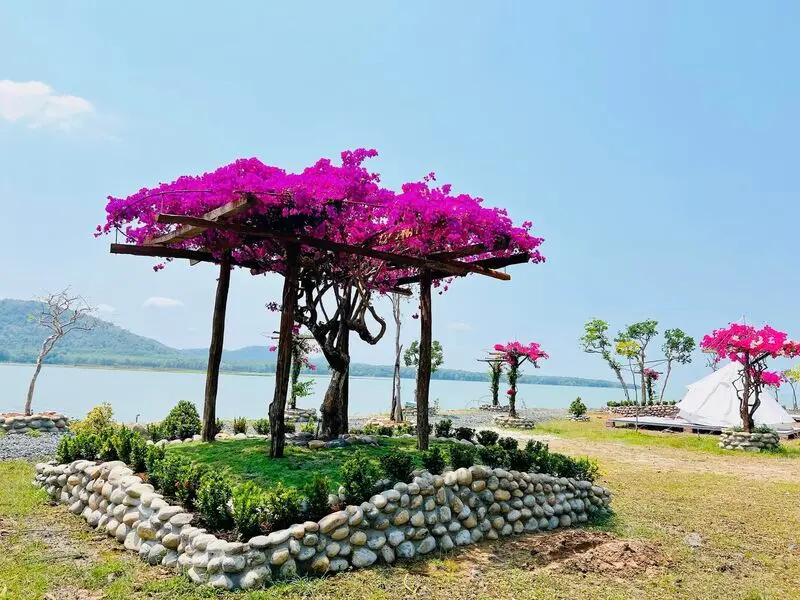 Bằng Lăng Glamping, chốn d&atilde; ngoại cực chill b&ecirc;n hồ Dầu Tiếng 3