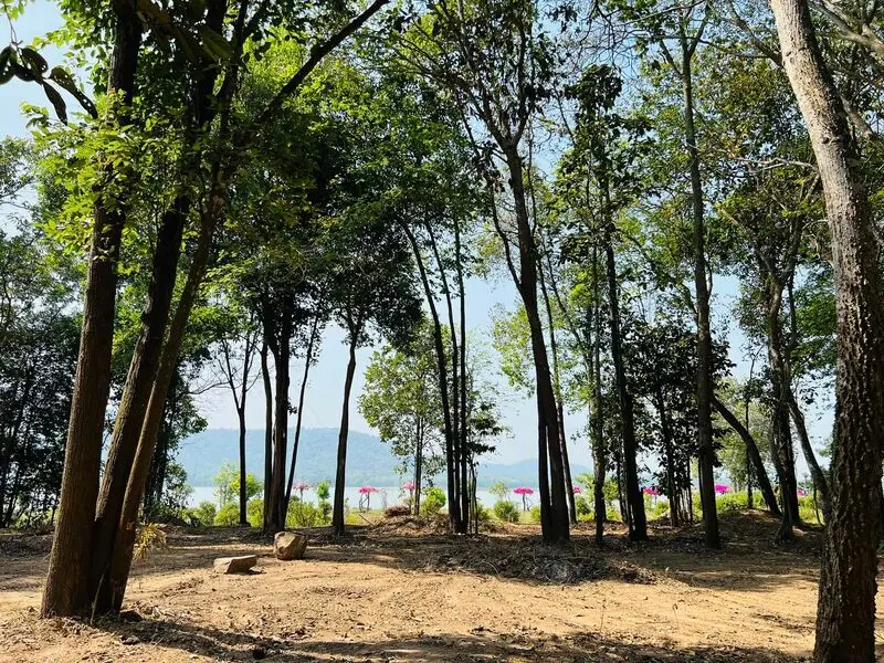 Bằng Lăng Glamping, chốn d&atilde; ngoại cực chill b&ecirc;n hồ Dầu Tiếng 7