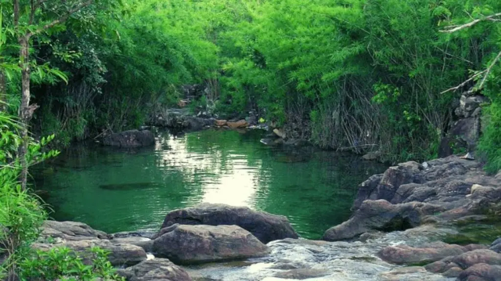 Cắm trại Hồ Dầu Tiếng, địa điểm cực chill b&ecirc;n cạnh S&agrave;i G&ograve;n 6