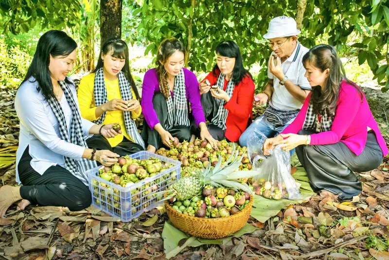 Phường Thuận An mới: Từ chợ B&uacute;ng trăm năm đến thủ phủ tr&aacute;i c&acirc;y L&aacute;i Thi&ecirc;u trứ danh 5