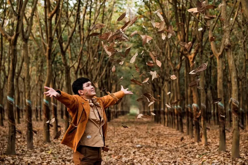 Rừng cao su B&igrave;nh Dương l&atilde;ng mạn m&ugrave;a thay l&aacute; 4
