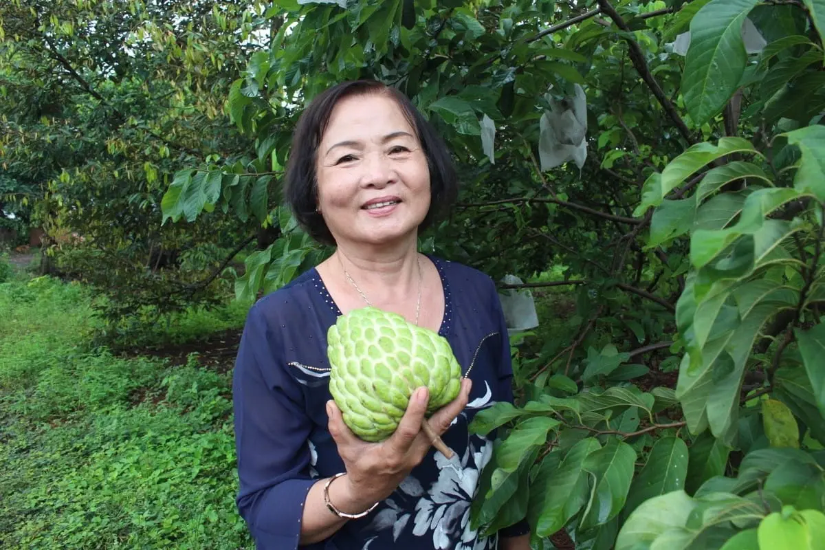 Kinh nghiệm kh&aacute;m ph&aacute; vườn tr&aacute;i c&acirc;y L&aacute;i Thi&ecirc;u từ A-Z 5