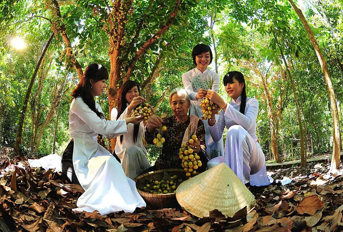 Kinh nghiệm kh&aacute;m ph&aacute; vườn tr&aacute;i c&acirc;y L&aacute;i Thi&ecirc;u từ A-Z 2
