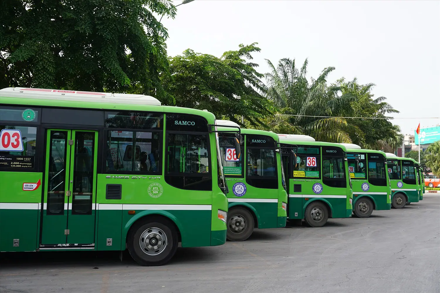 Kinh nghiệm kh&aacute;m ph&aacute; vườn tr&aacute;i c&acirc;y L&aacute;i Thi&ecirc;u từ A-Z 4