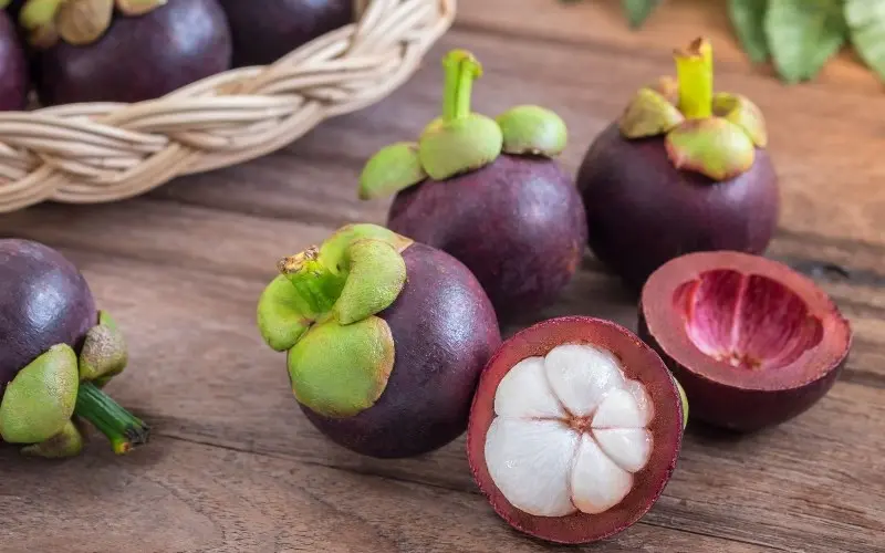 T&igrave;m hiểu ngay c&aacute;ch ph&acirc;n biệt măng cụt L&aacute;i Thi&ecirc;u 3