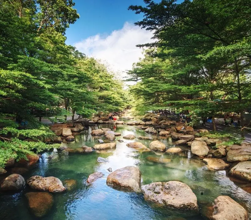 Khu du lịch Thủy Châu: Thiên đường picnic và vui chơi tại Bình Dương