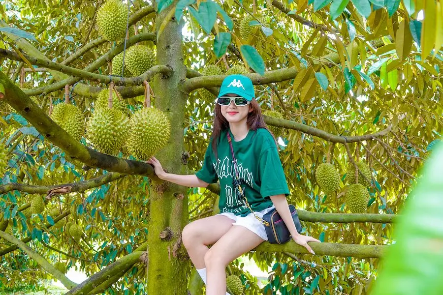 Gợi &yacute; lịch tr&igrave;nh 1 ng&agrave;y kh&aacute;m ph&aacute; vườn tr&aacute;i c&acirc;y L&aacute;i Thi&ecirc;u cực vui 6
