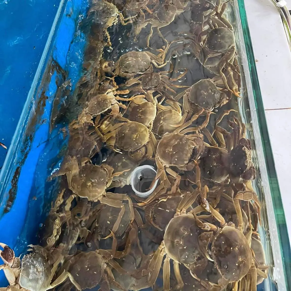 Bật m&iacute; top qu&aacute;n hải sản B&igrave;nh Phước si&ecirc;u ngon d&agrave;nh cho t&iacute;n đồ ăn uống 9