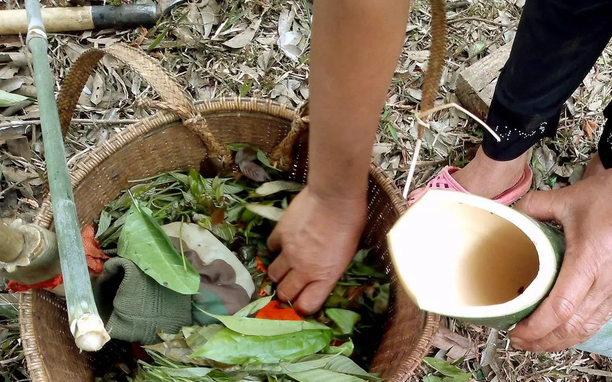 Canh thụt độc đ&aacute;o khiến nhiều người m&ecirc; mẩn ở B&igrave;nh Phước 3