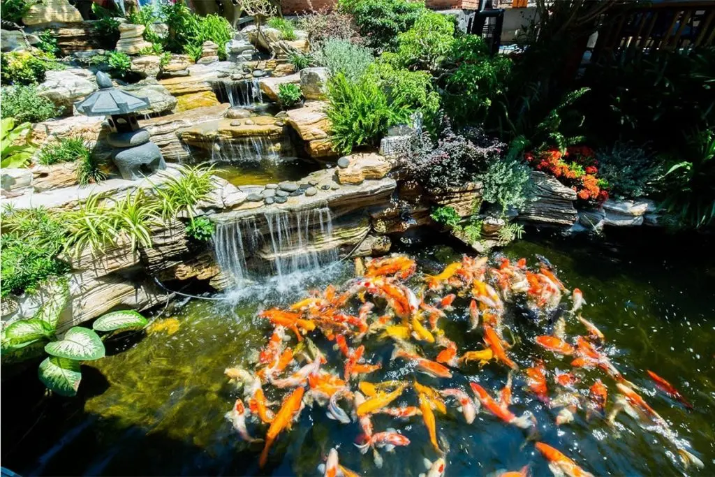 Đến Trầm Koi Garden Coffee tận hưởng kh&ocirc;ng gian nh&agrave; vườn an tĩnh 5