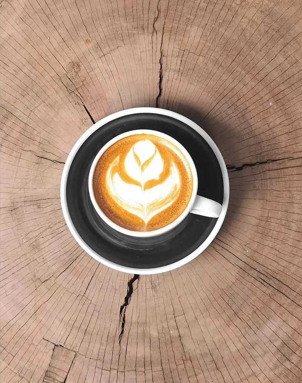 Gh&eacute; Đồng Xanh Cafe thưởng thức kh&ocirc;ng gian s&acirc;n vườn đẹp nhất B&igrave;nh Phước 7