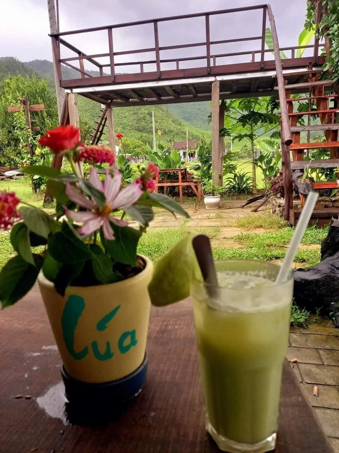 Lạc v&agrave;o Coco Garden để về l&agrave;ng qu&ecirc; b&igrave;nh y&ecirc;n 9