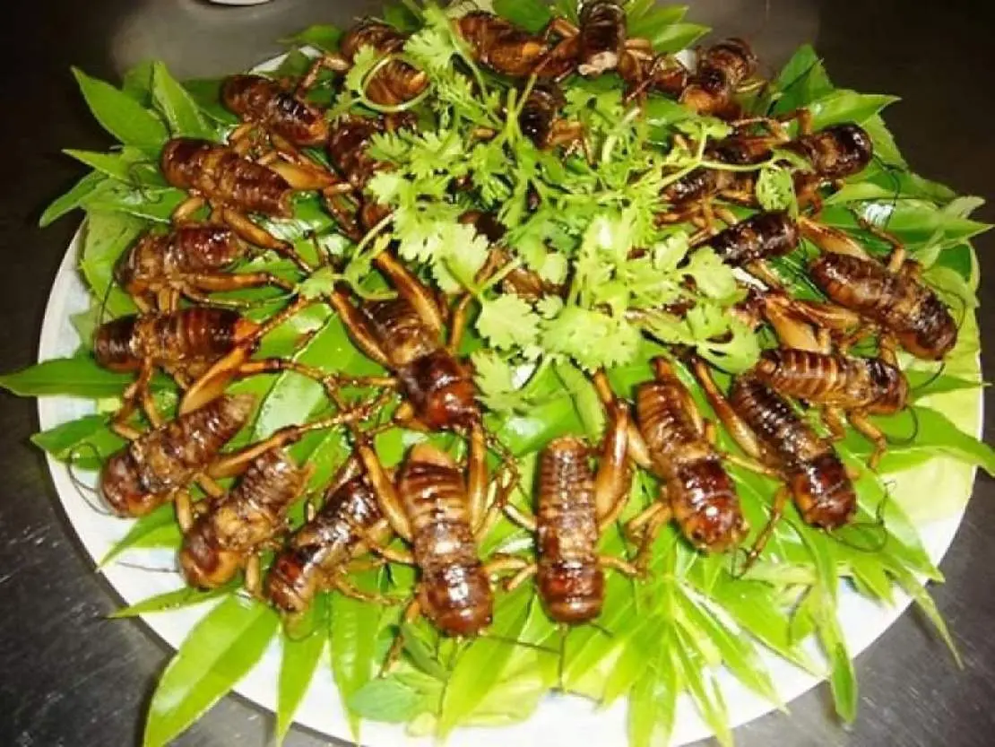 Top 10 Đặc sản B&igrave;nh Phước bạn kh&ocirc;ng thể bỏ lỡ 4