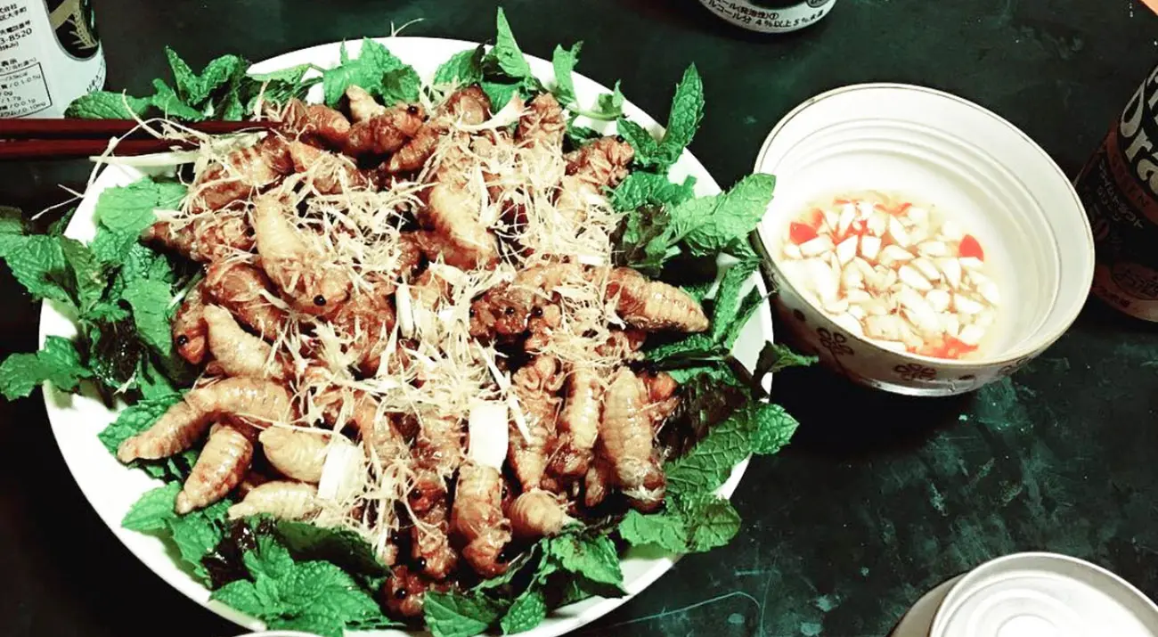 Ve sầu chiên giòn, đặc sản độc nhất vô nhị của vùng Bình Phước