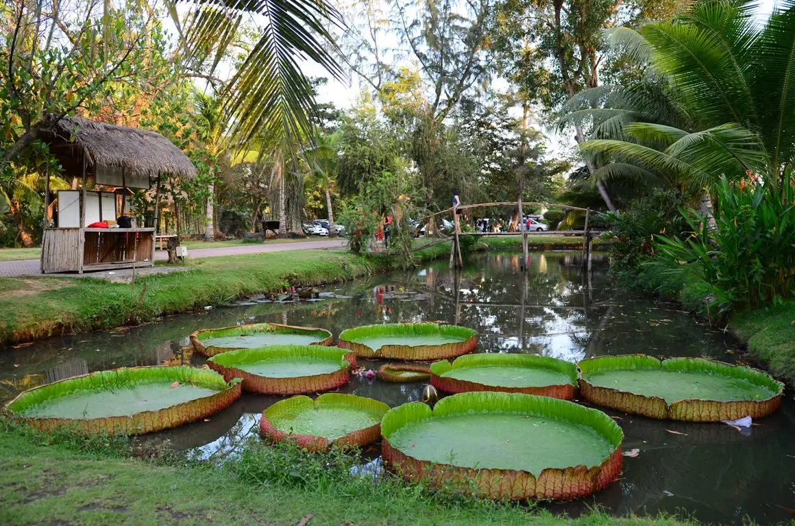 Chinh phục thi&ecirc;n nhi&ecirc;n với lịch tr&igrave;nh kh&aacute;m ph&aacute; B&igrave;nh Phước 2N1Đ 2
