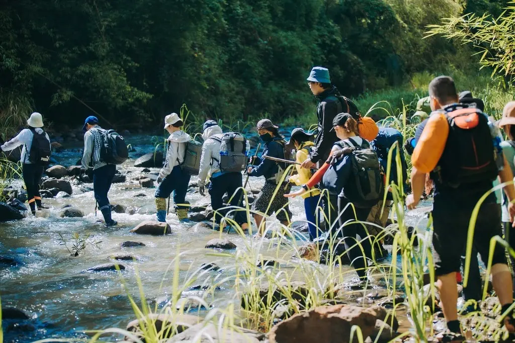 Trải nghiệm Trekking B&ugrave; Gia Mập 3N2Đ, lịch tr&igrave;nh tự t&uacute;c d&agrave;nh cho t&iacute;n đồ du lịch 6