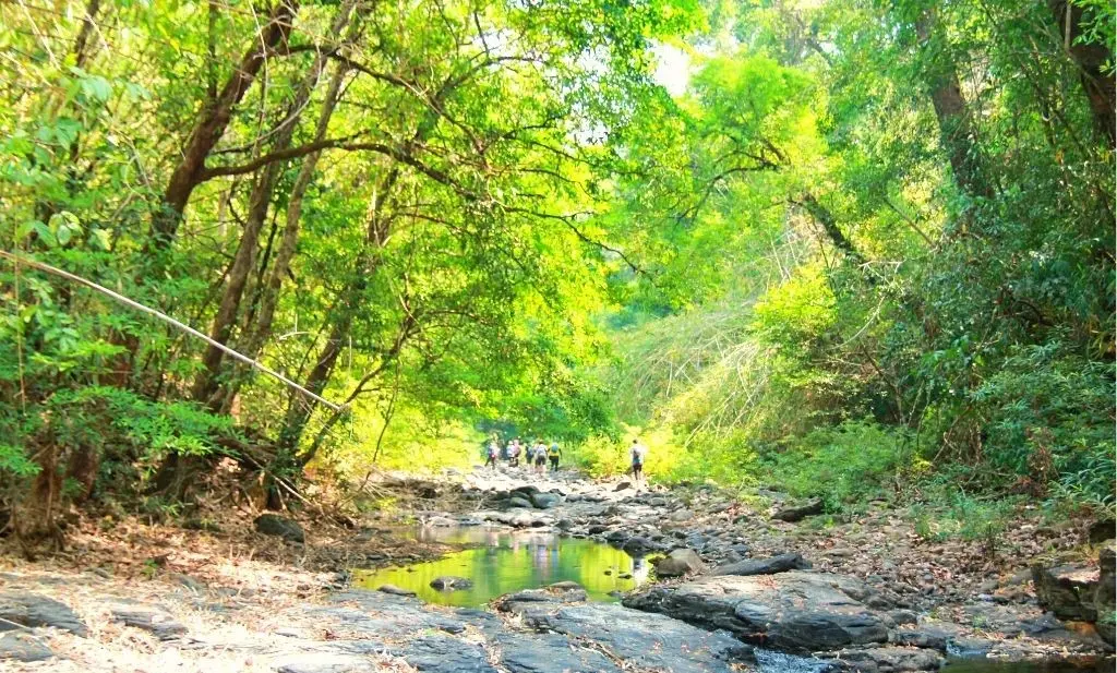 Trải nghiệm Trekking B&ugrave; Gia Mập 3N2Đ, lịch tr&igrave;nh tự t&uacute;c d&agrave;nh cho t&iacute;n đồ du lịch 9