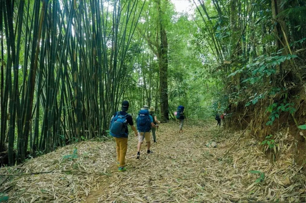 Trải nghiệm Trekking B&ugrave; Gia Mập 3N2Đ, lịch tr&igrave;nh tự t&uacute;c d&agrave;nh cho t&iacute;n đồ du lịch 4