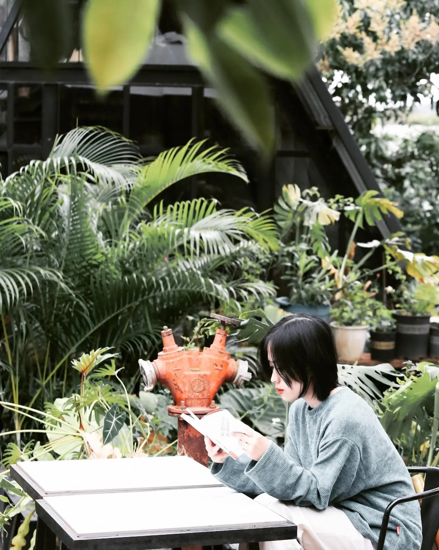 Đến House of Lens Coffee để đổi lấy một mớ b&igrave;nh y&ecirc;n 9