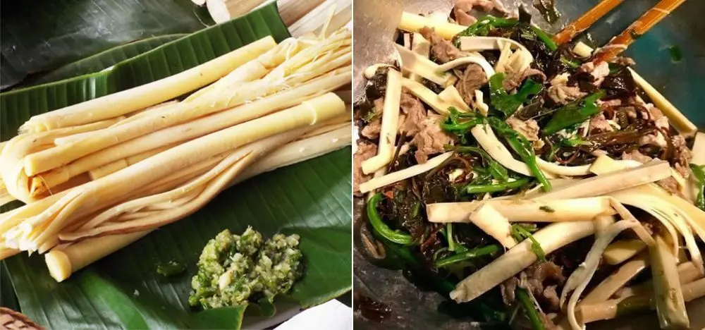 Đọt m&acirc;y gai DakLak, đặc sản độc đ&aacute;o của n&uacute;i rừng T&acirc;y Nguy&ecirc;n 8