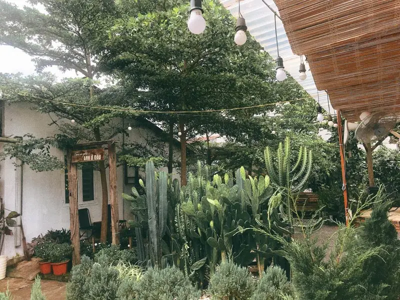 Gh&eacute; thăm Tiệm c&agrave; ph&ecirc; Anh Ở Đ&acirc;u - Đ&agrave; Lạt thơ mộng giữa l&ograve;ng Bu&ocirc;n M&ecirc; 7