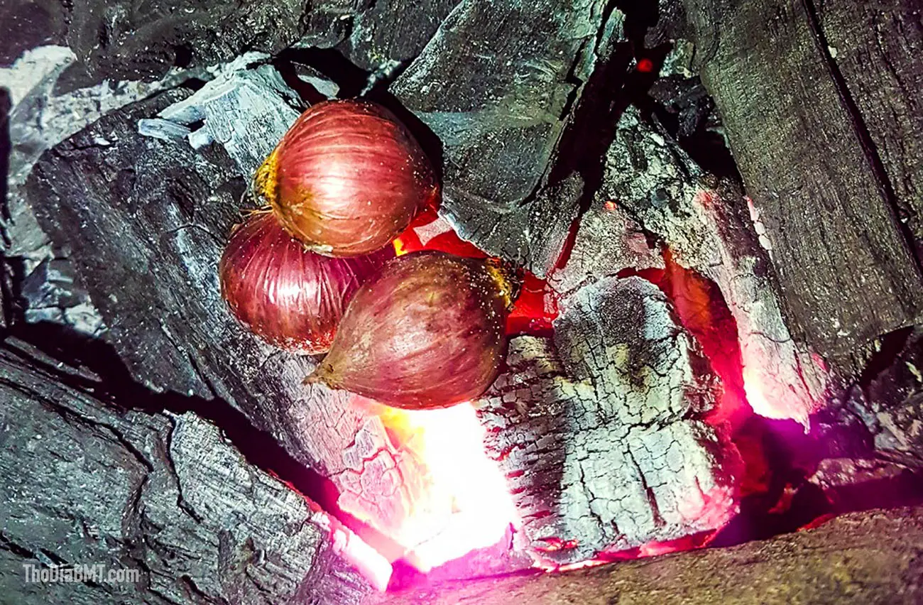 Gỏi đu đủ kiến lửa Bu&ocirc;n Ma Thuột lạ m&agrave; ngon 3