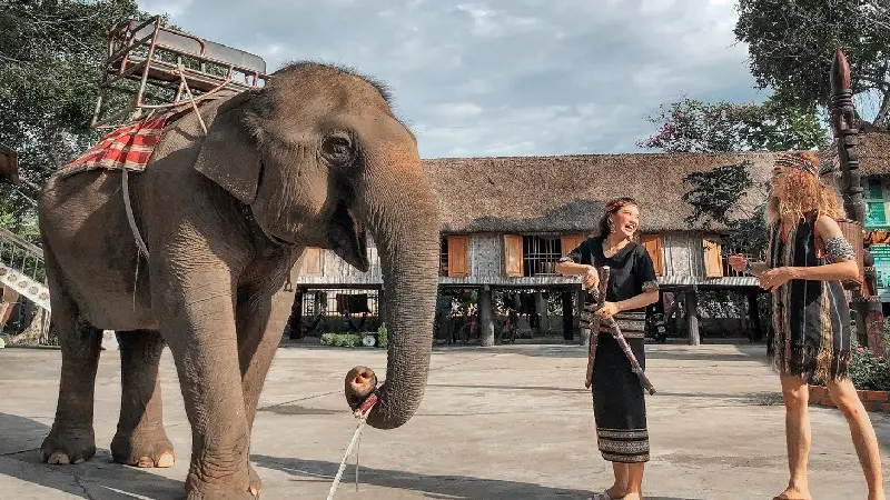 Về Bu&ocirc;n Đ&ocirc;n nghe tiếng chi&ecirc;ng rừng giữa v&ugrave;ng n&uacute;i T&acirc;y Nguy&ecirc;n 7