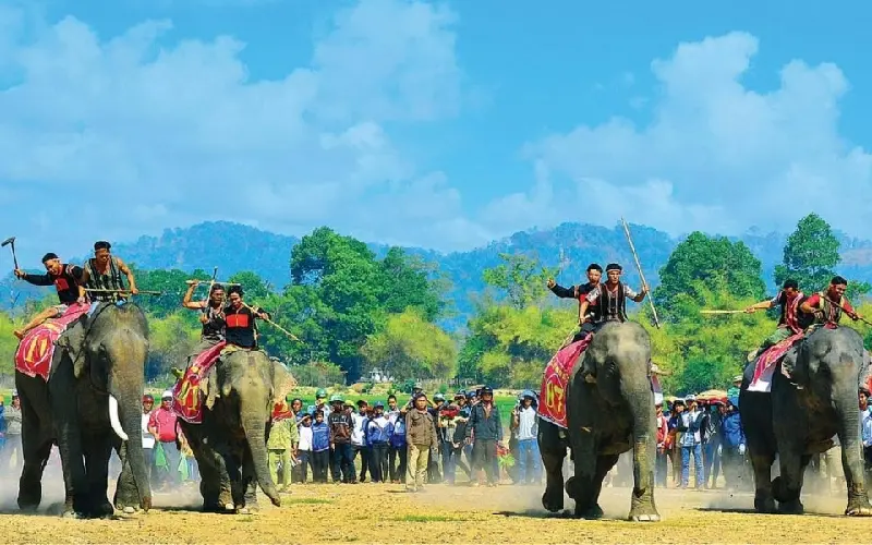 Về Bu&ocirc;n Đ&ocirc;n nghe tiếng chi&ecirc;ng rừng giữa v&ugrave;ng n&uacute;i T&acirc;y Nguy&ecirc;n 14