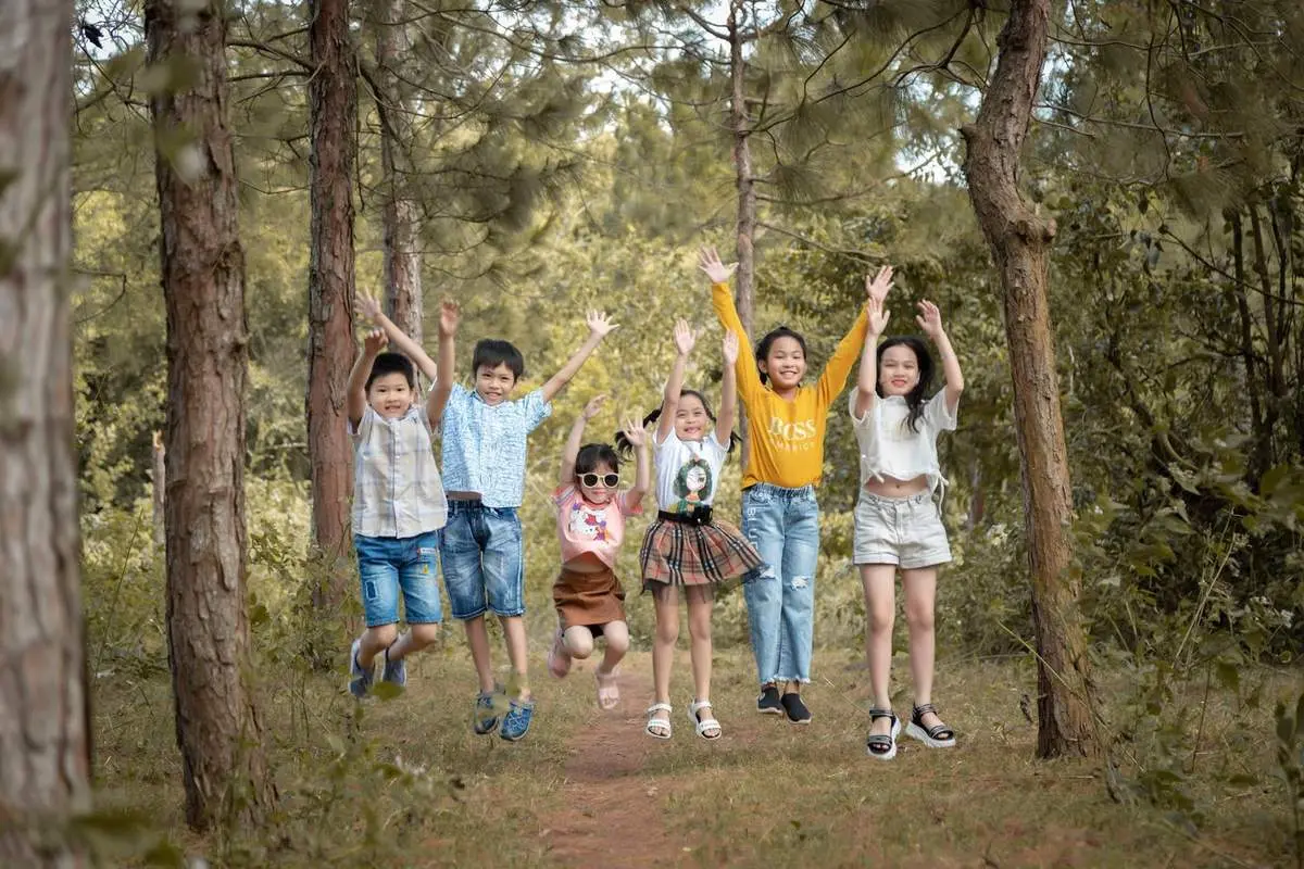 Đến rừng thông Lâm Viên thưởng thức vẻ đẹp thiên nhiên thơ mộng