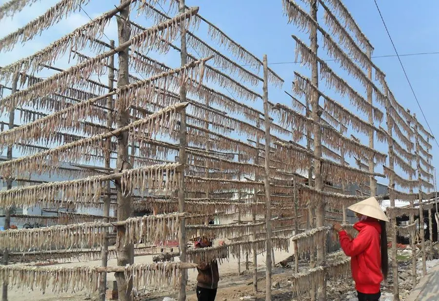 C&aacute; kh&ocirc; khoai chấm nước mắm me, đặc sản d&acirc;n d&atilde; miệt xứ C&agrave; Mau 2
