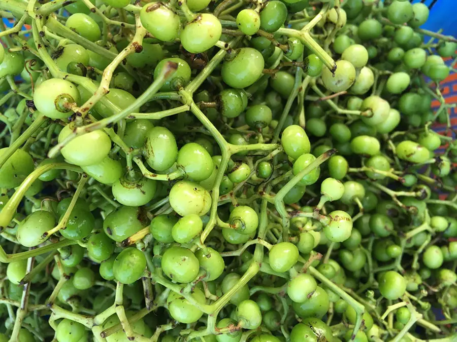 C&aacute; n&acirc;u kho tr&aacute;i gi&aacute;c v&agrave; hương vị d&acirc;n d&atilde;, đậm đ&agrave; xứ C&agrave; Mau 4