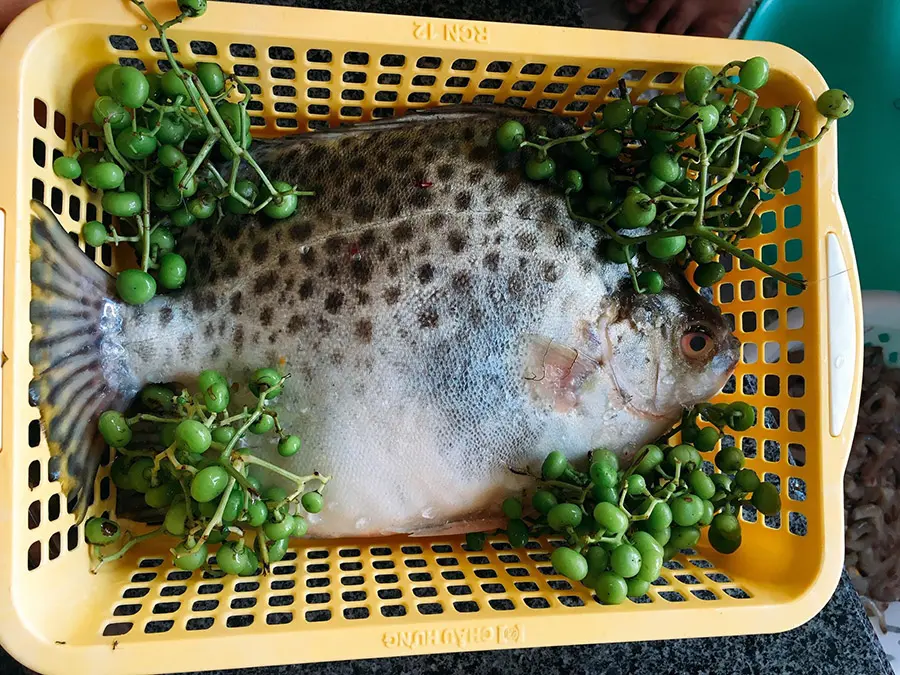 C&aacute; n&acirc;u kho tr&aacute;i gi&aacute;c v&agrave; hương vị d&acirc;n d&atilde;, đậm đ&agrave; xứ C&agrave; Mau 2