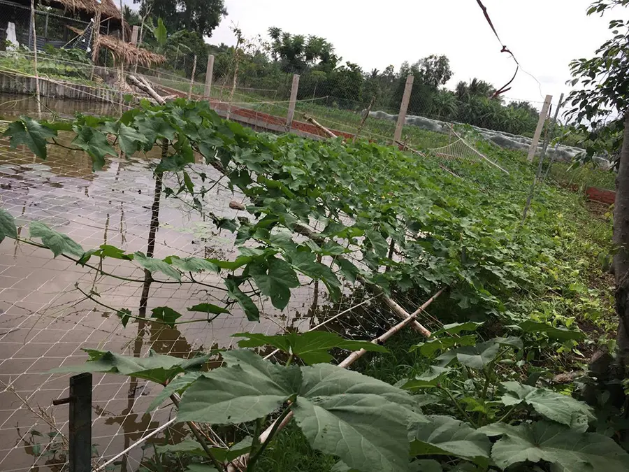 Nh&agrave; h&agrave;ng s&acirc;n vườn Nhị Đệ, qu&aacute;n ăn ngo&agrave;i trời nức tiếng ở Đất Mũi 6