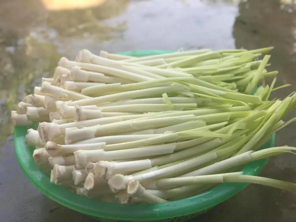 Thưởng thức Bồn bồn C&agrave; Mau, đặc sản d&acirc;n d&atilde; của v&ugrave;ng đất mũi 2