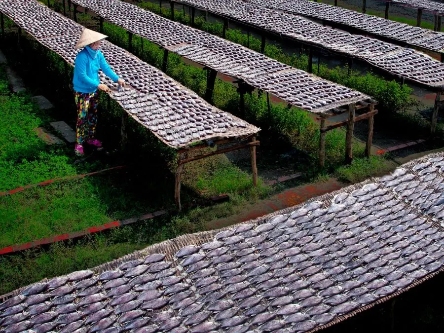 Thưởng thức Kh&ocirc; c&aacute; sặc bổi U Minh đậm đ&agrave; hương vị miền qu&ecirc; s&ocirc;ng nước 2