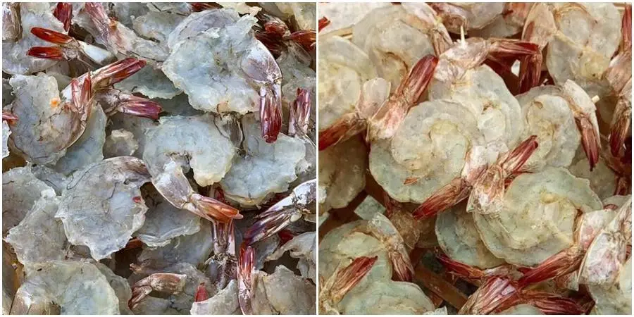 Thưởng thức t&ocirc;m lụi C&agrave; Mau, m&oacute;n ngon độc lạ v&ugrave;ng Đất Mũi 5
