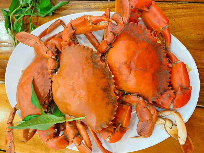 Xu&ocirc;i về đất mũi thưởng thức 12 đặc sản C&agrave; Mau thơm ngon nức tiếng 6