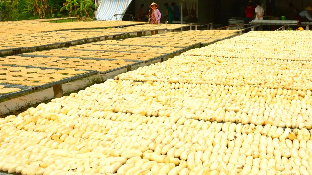 Đặc sản Chuối khô Cà Mau thơm ngon nức tiếng gần xa