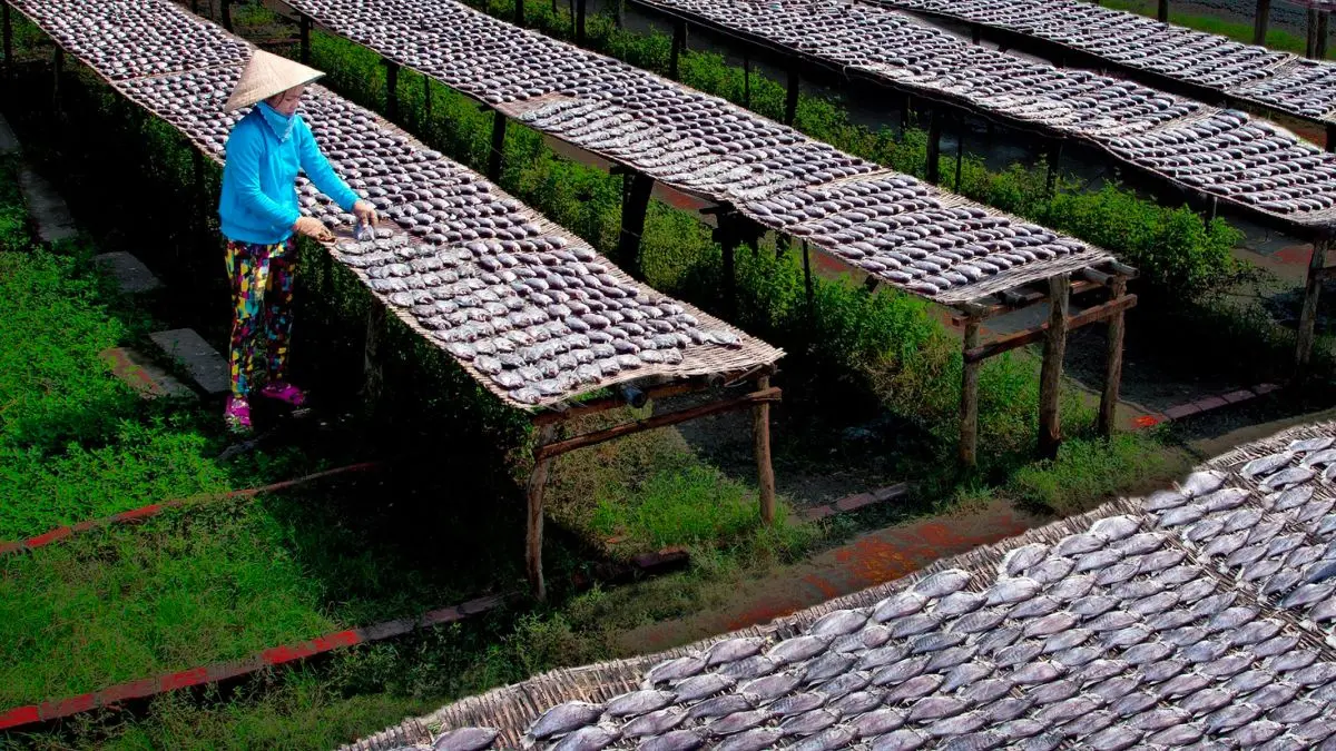 Thưởng thức Khô cá sặc bổi U Minh đậm đà hương vị miền quê sông nước