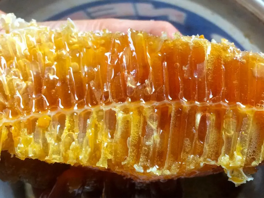 Đặc sắc Nghề g&aacute;c k&egrave;o ong ở rừng U Minh Hạ C&agrave; Mau 6