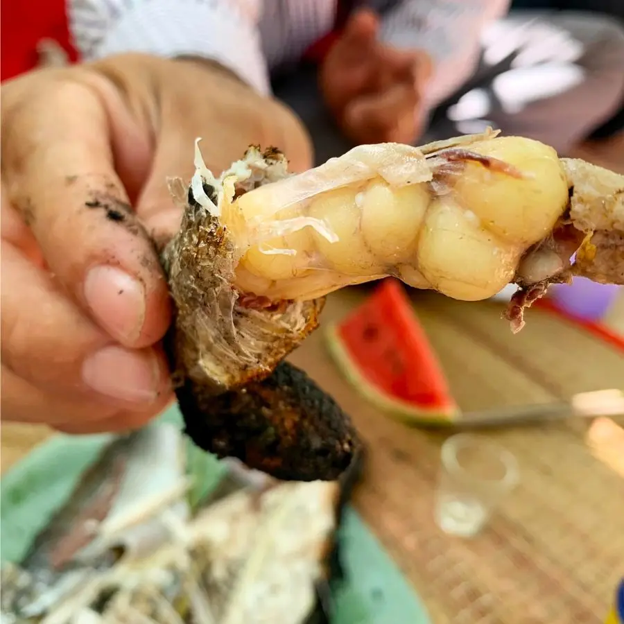 Đến huyện Trần Văn Thời C&agrave; Mau trải nghiệm đ&aacute;nh bắt c&aacute; t&ocirc;m th&uacute; vị 6