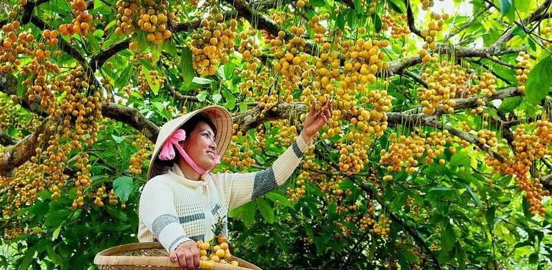 Kh&aacute;m ph&aacute; du lịch C&agrave; Mau c&oacute; g&igrave; chơi c&ugrave;ng những địa điểm tham quan th&uacute; vị 8
